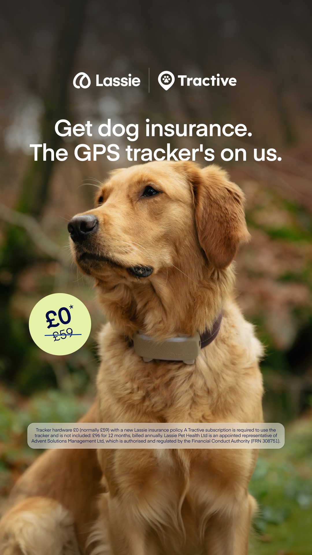Lassie UK Facebook ad