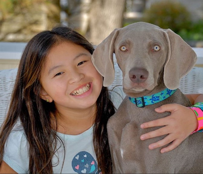 WorldCare Pet Transport LLC Facebook ad: Home Page - WorldCarePet Transport