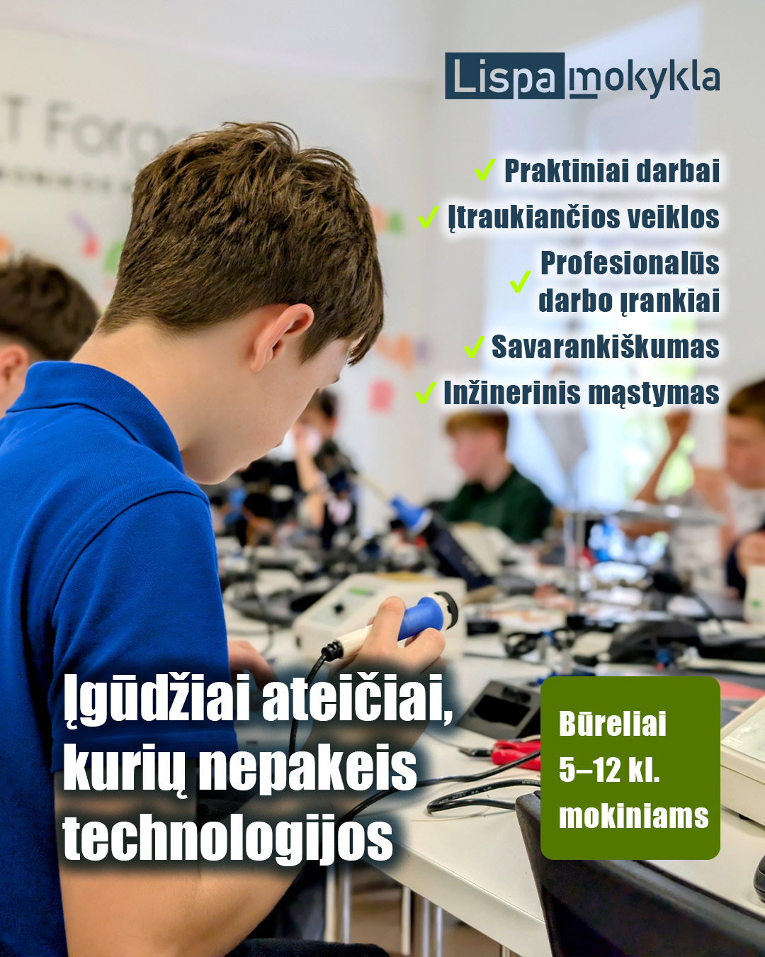 Hexomeda Facebook ad: Atraskite LISPA būrelius