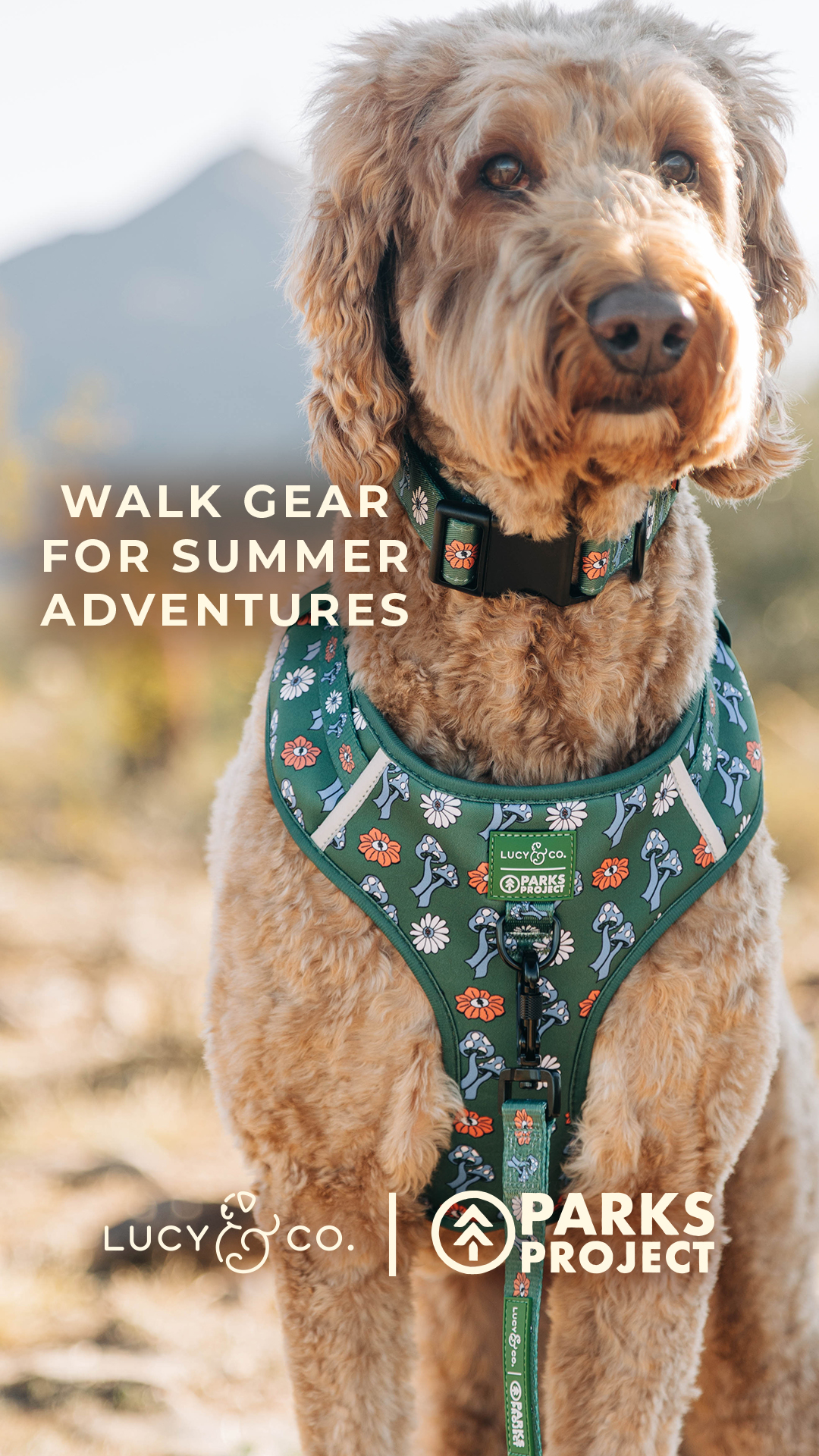 Lucy & Co. Facebook ad
