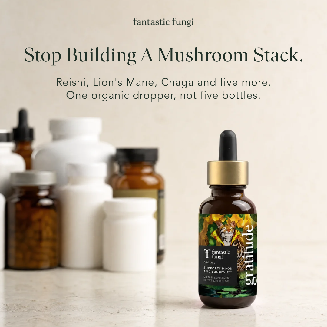 Fantastic Fungi Facebook ad