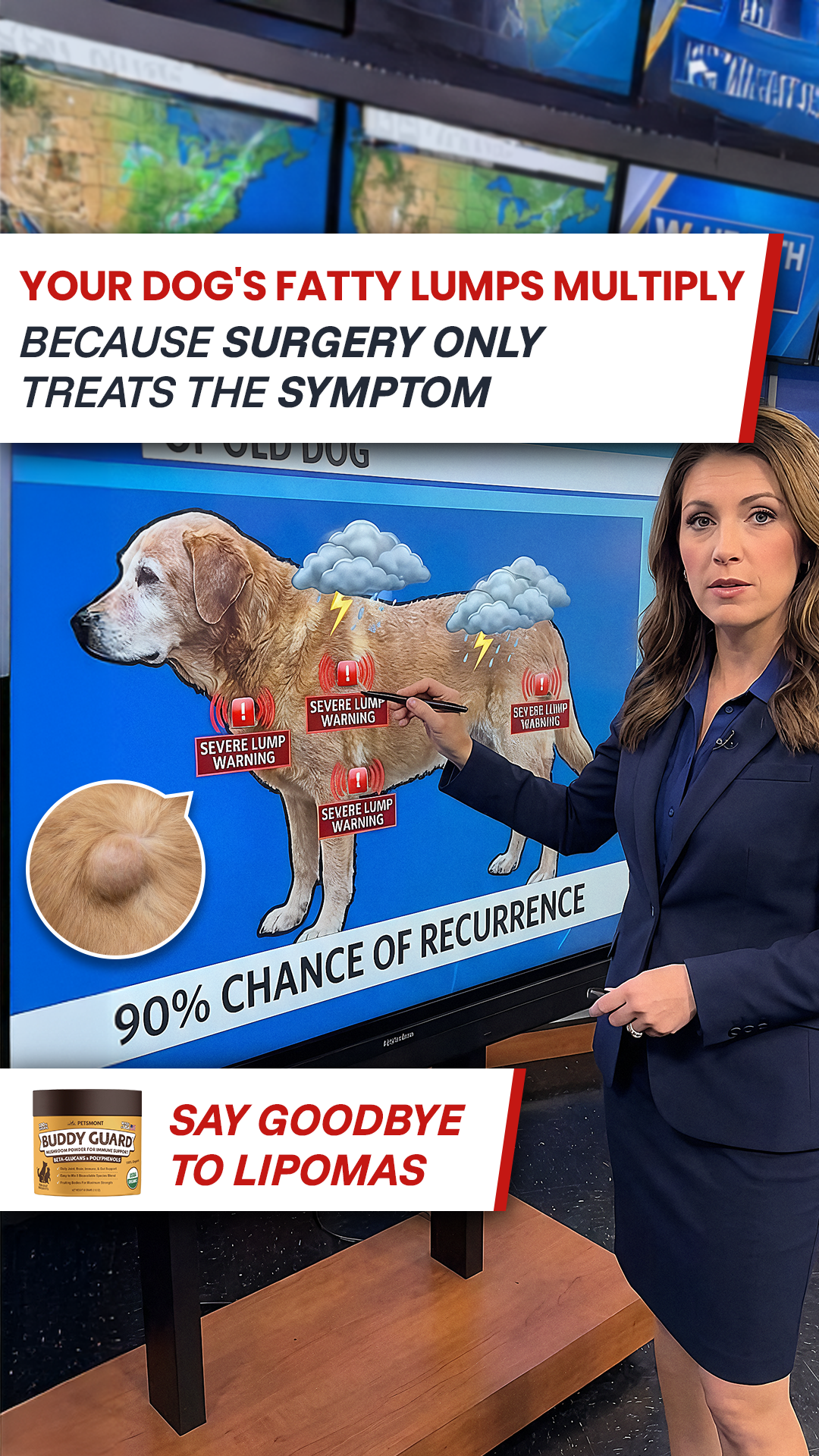 Petsmont Facebook ad