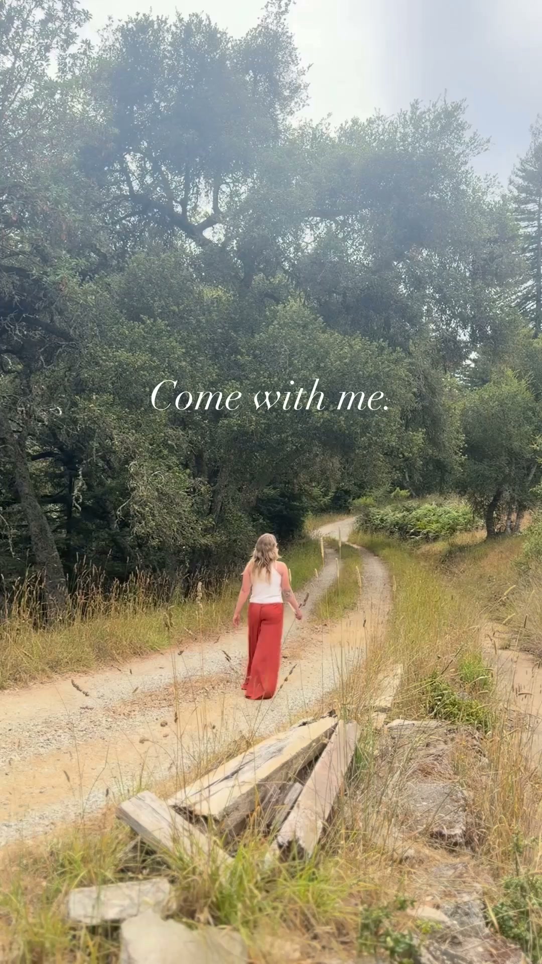 Mount Madonna Center Facebook ad: Come Into the Redwoods. Into Silence.