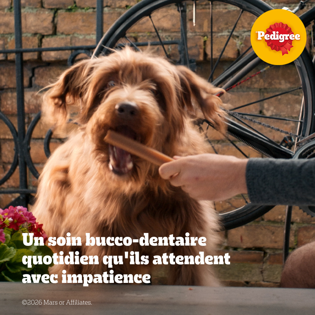 Pedigree France Facebook ad: Aidez-le à combattre les problèmes de bouche qui fait la…