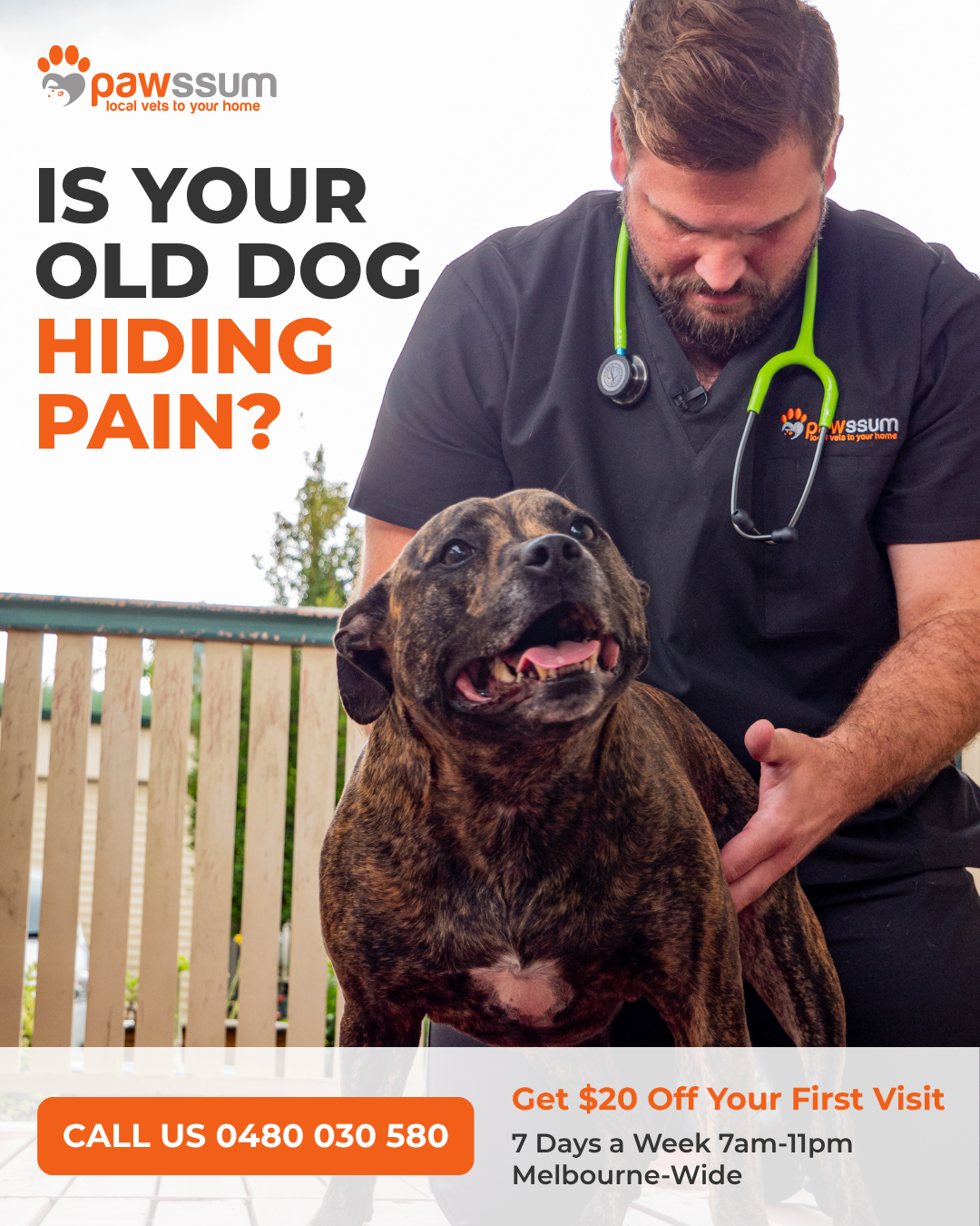 Pawssum - Vet to home services Facebook ad