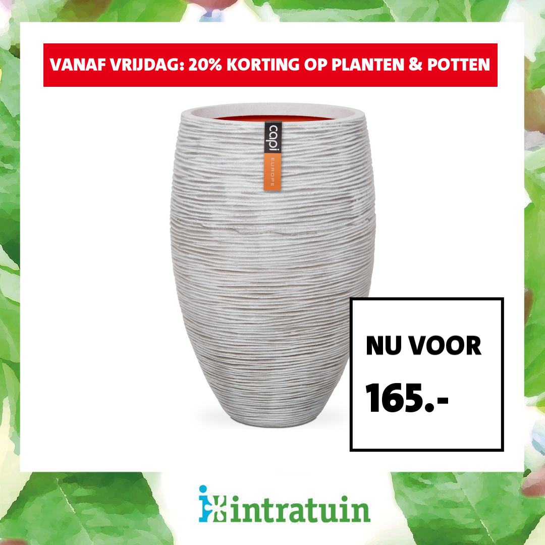 Intratuin Facebook ad
