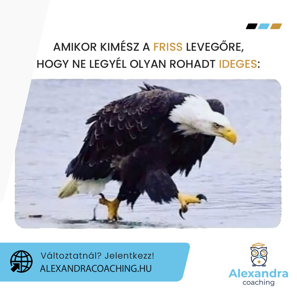 Alexandra coaching: karrier, vezetői és life coaching Facebook ad