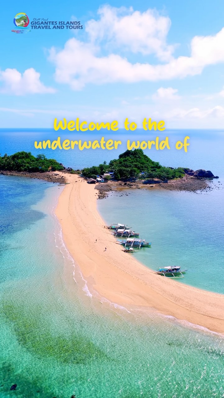 Gigantes Island Tours and Services Facebook ad: GET READY TO DIVE INTO PARADISE!