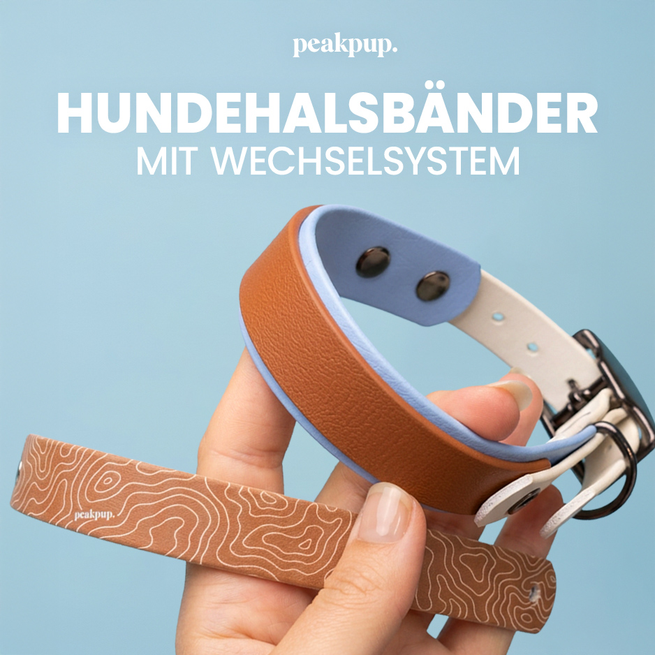 Peakpup.shop Facebook ad: Ein Halsband. Unzählige Looks.