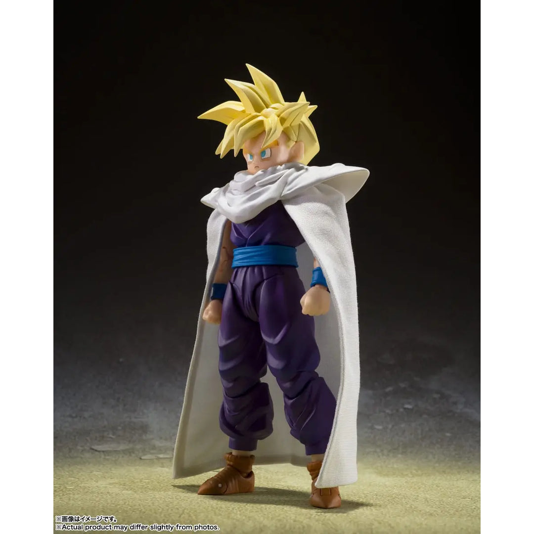 Sleek Geek Collectibles Facebook ad: SH Figuarts collector?