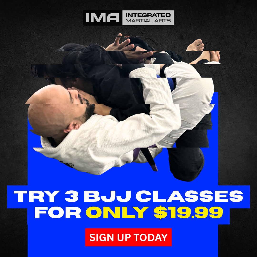 Integrated Martial Arts Worcester  Facebook ad