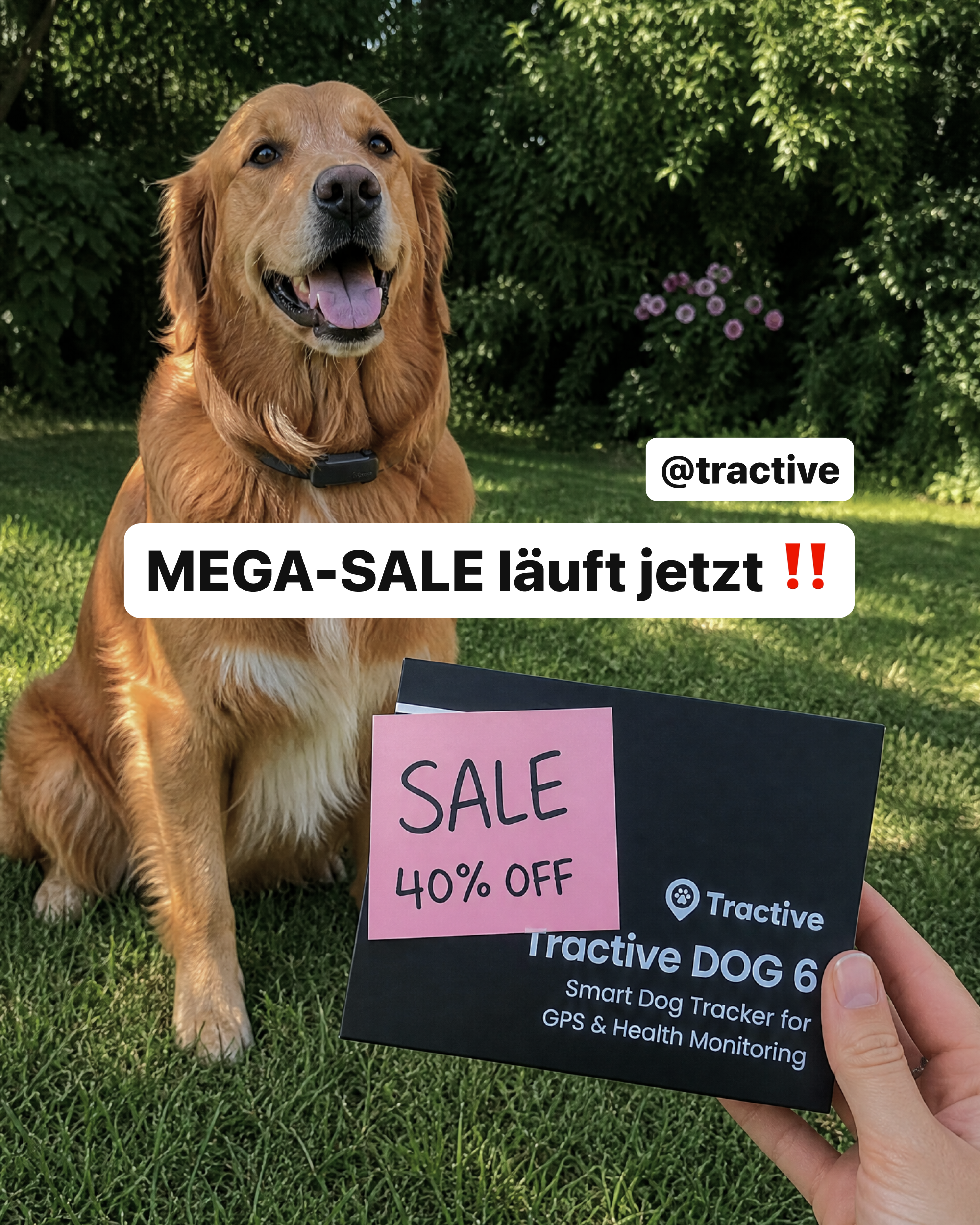 Tractive Facebook ad