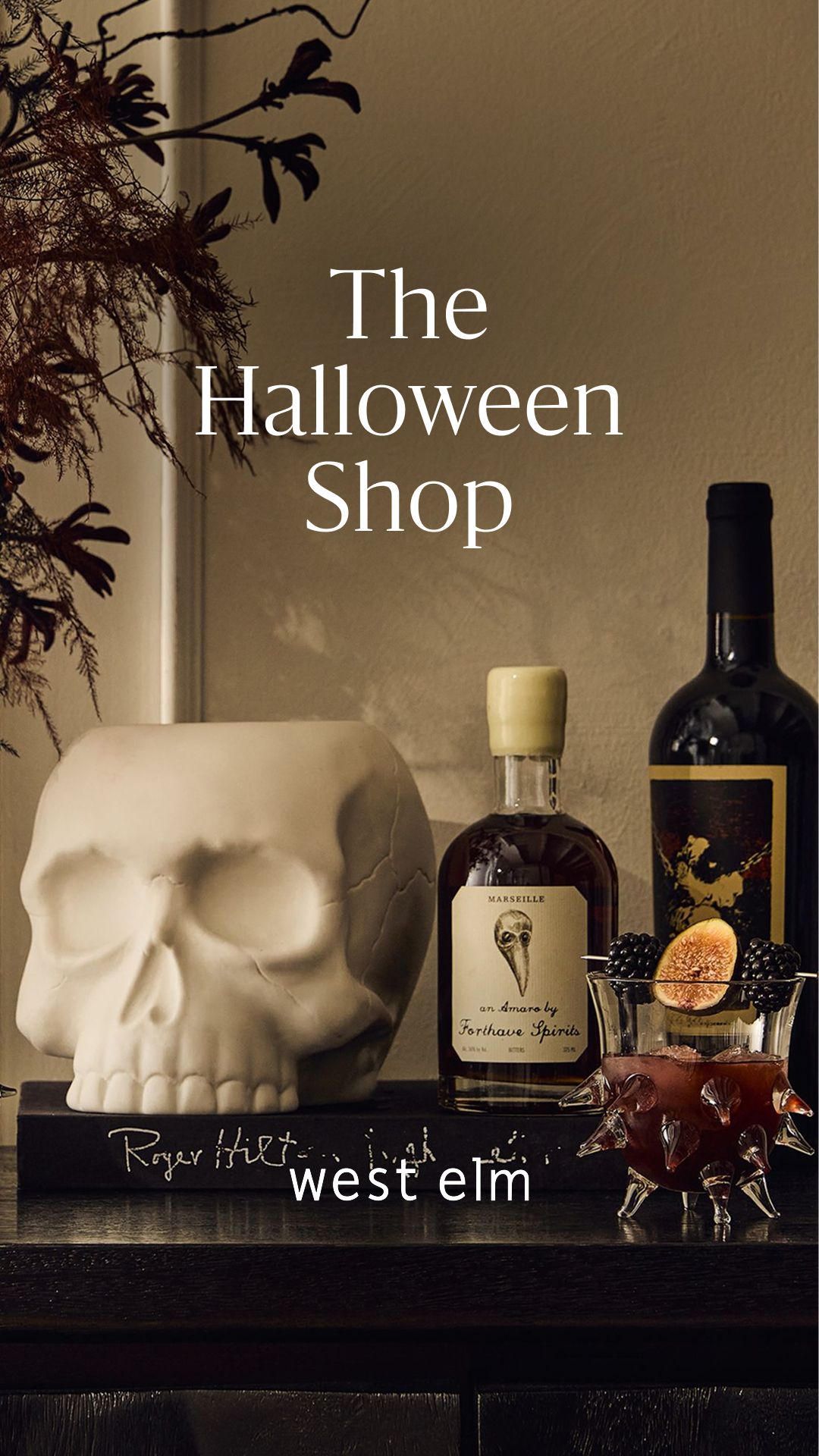 West Elm Facebook ad: Shop Halloween