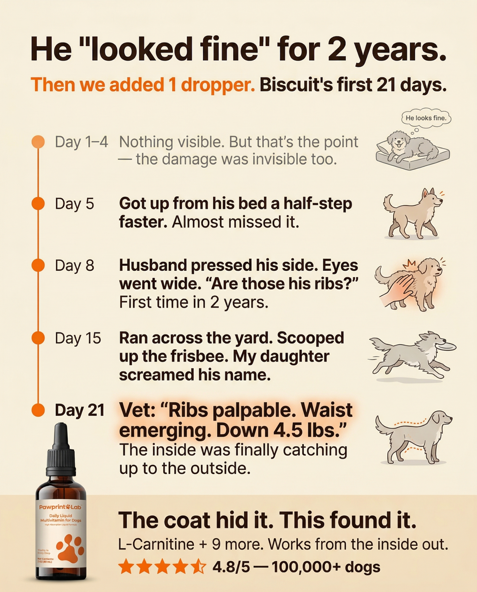 Vet-Approved Pet Products Facebook ad