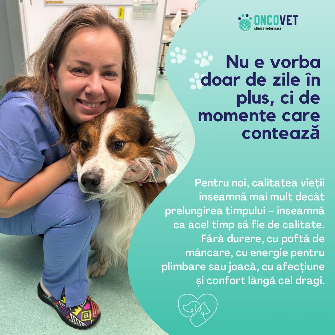 OncoVet Facebook ad: ðð ð§ð ð¬ð©ð®ð§ð ð®ð§ ðð§ð¢ðŠðð¥ ððð«ð¢ðð¢ðâŠ