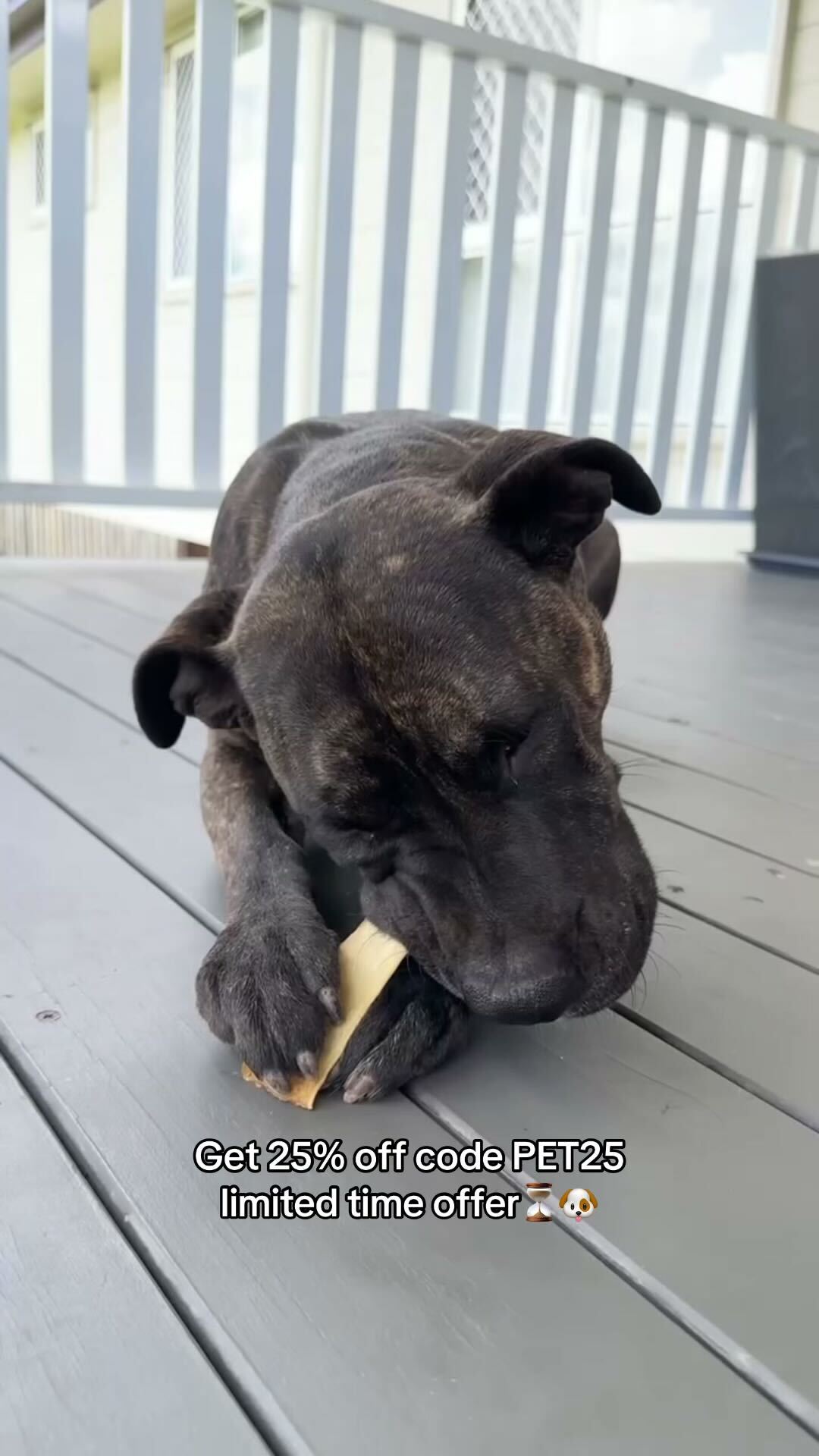 Pet Snacks Facebook ad