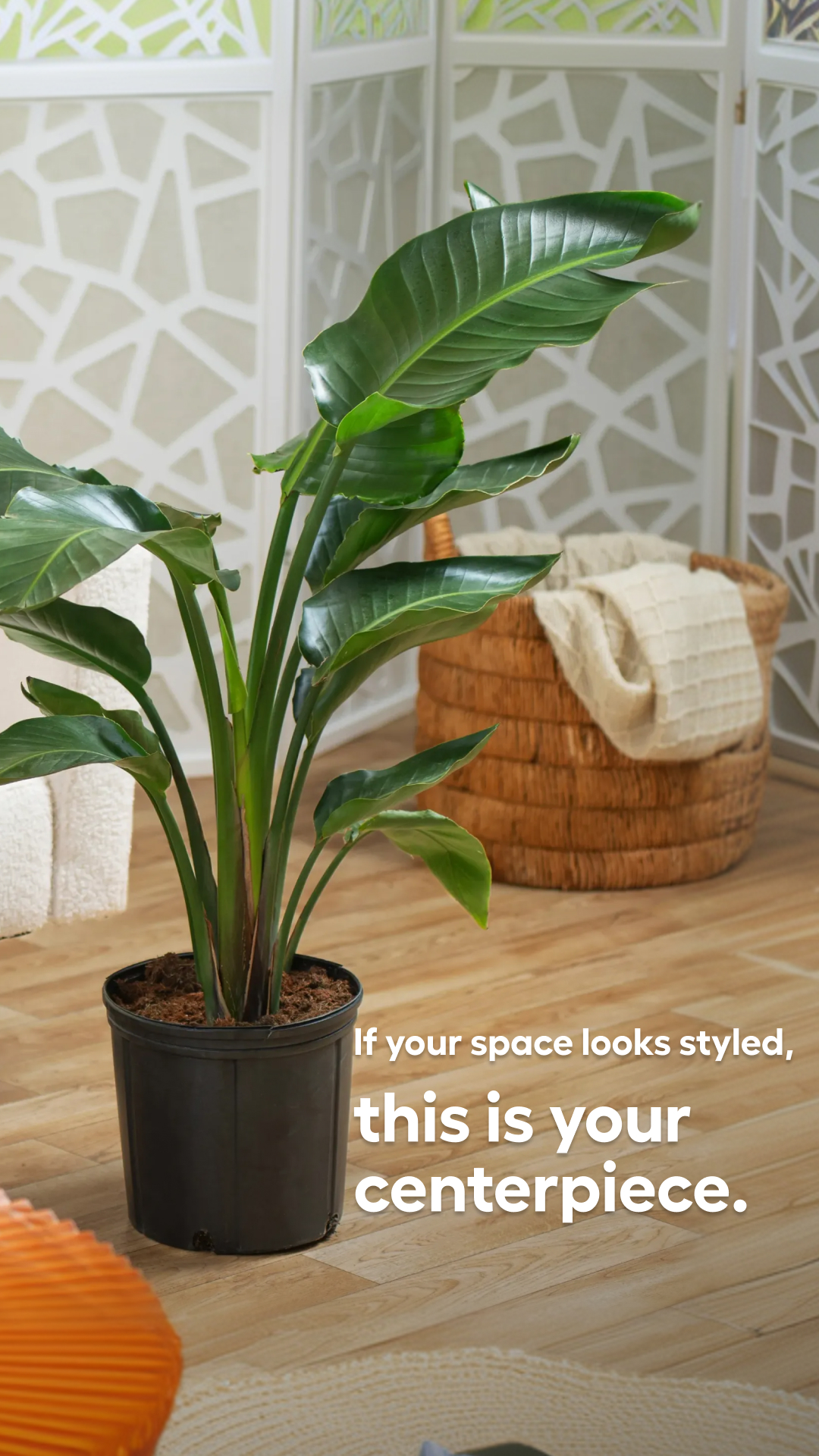 Lowe's Home Improvement Facebook ad