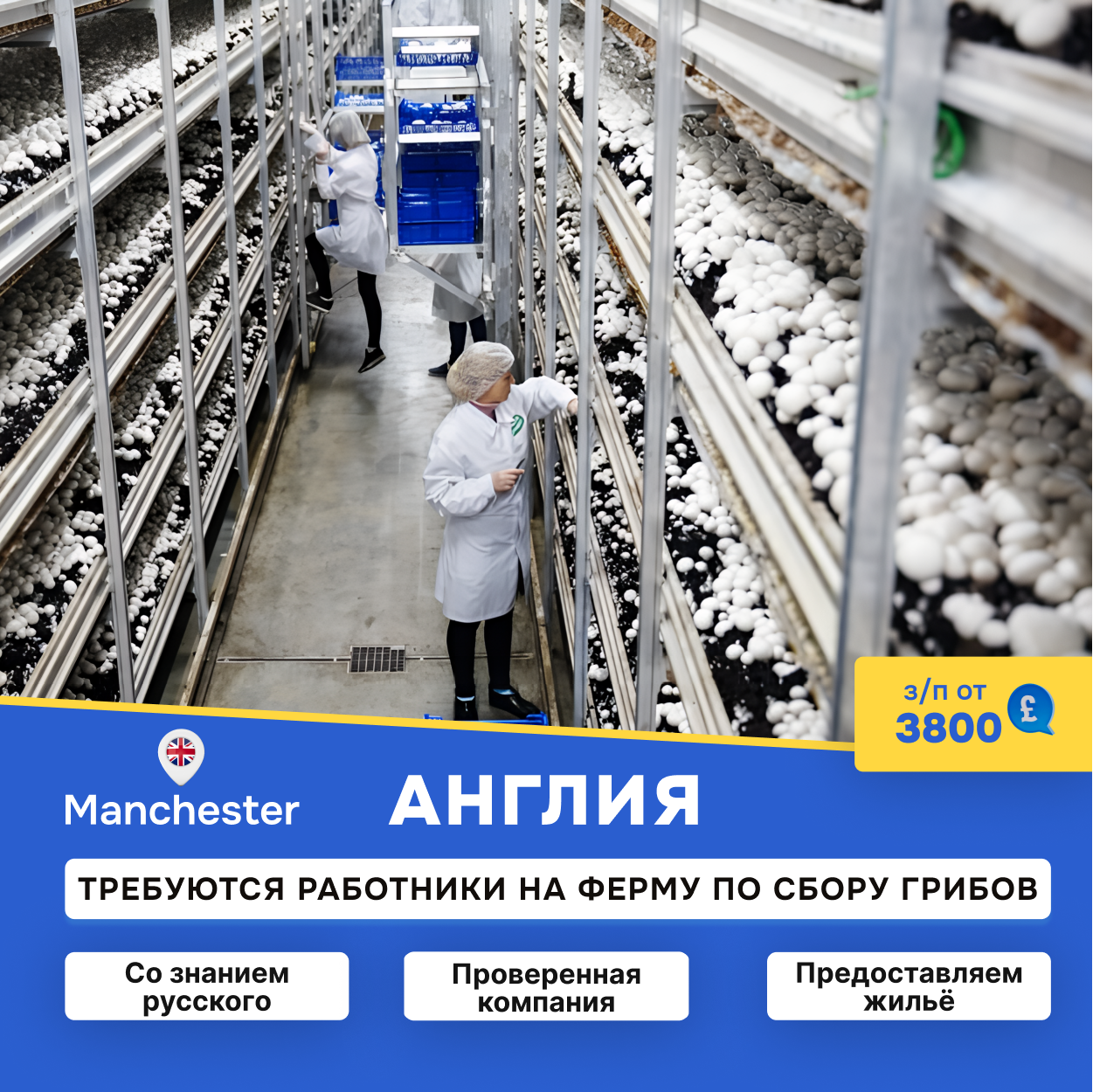 Concept Group Facebook ad: Оставляй заявку по кнопке ниже!