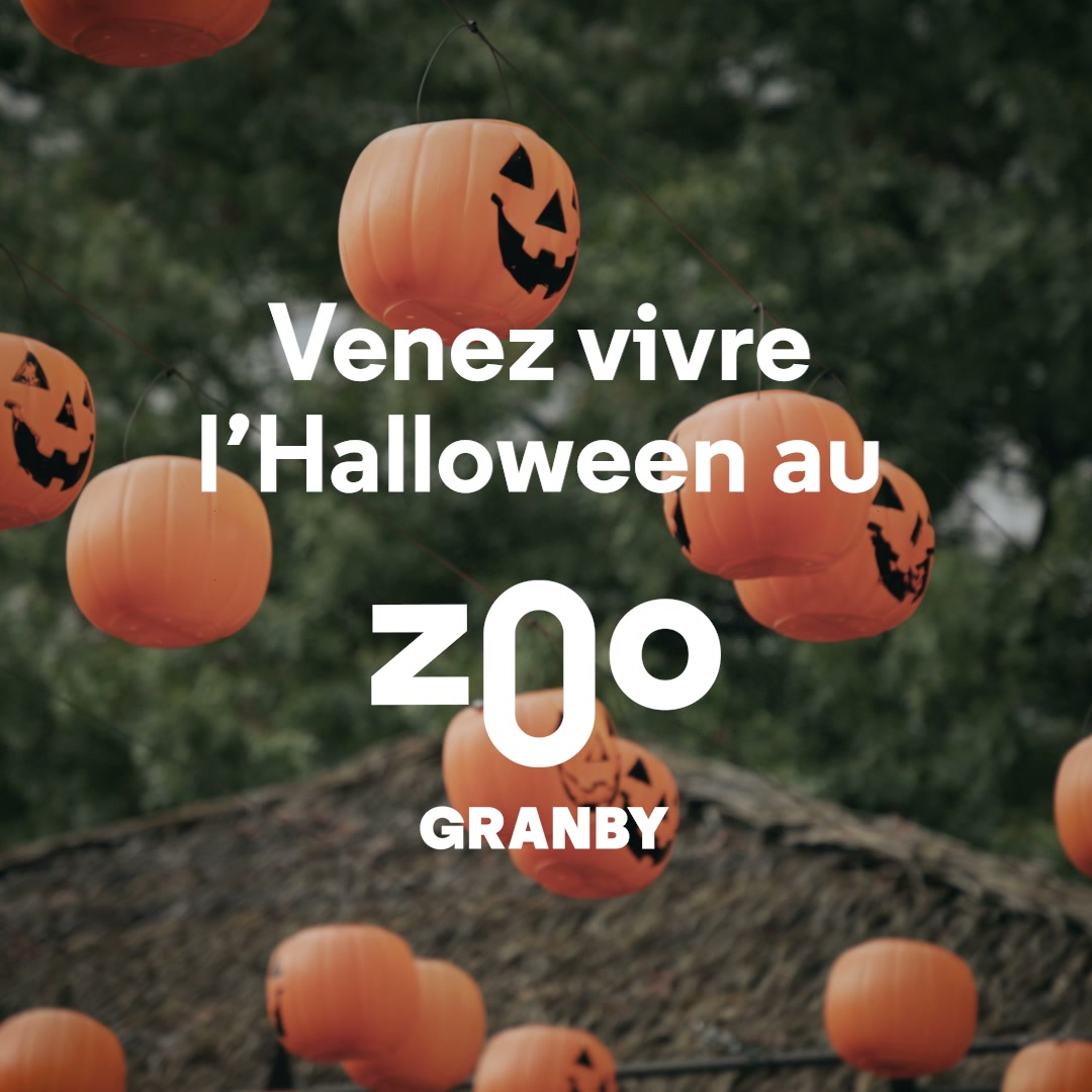Zoo de Granby Facebook ad: Visiter le Zoo