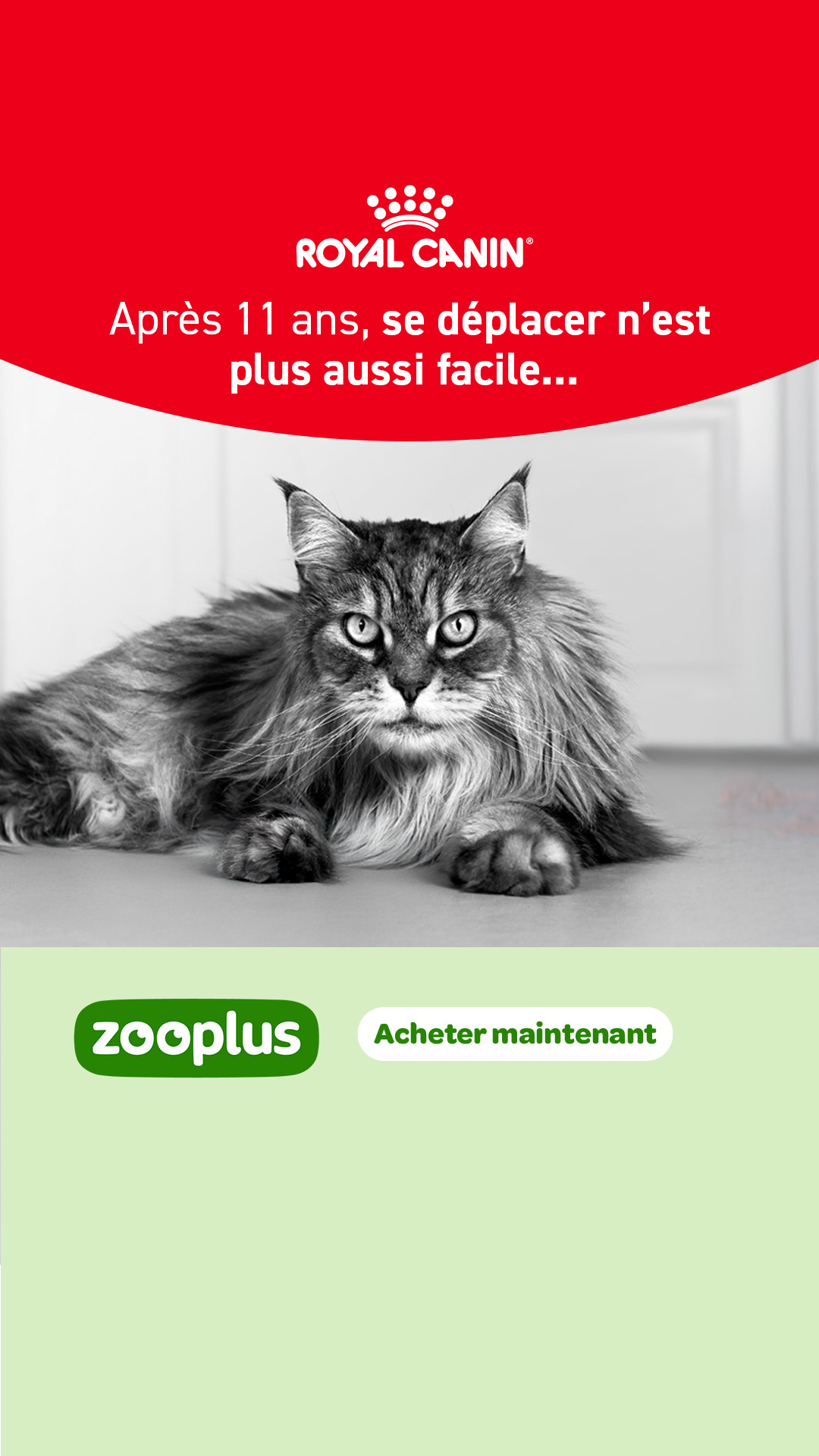 zooplus Facebook ad