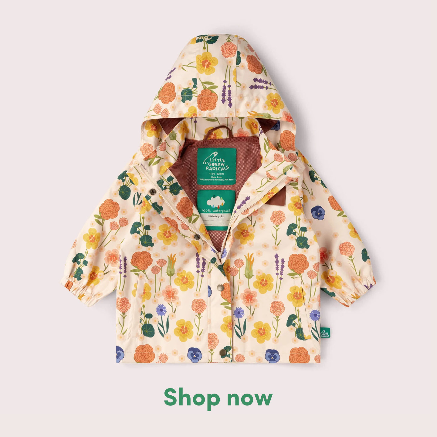 Little Green Radicals Facebook ad: New Term - New Adventures