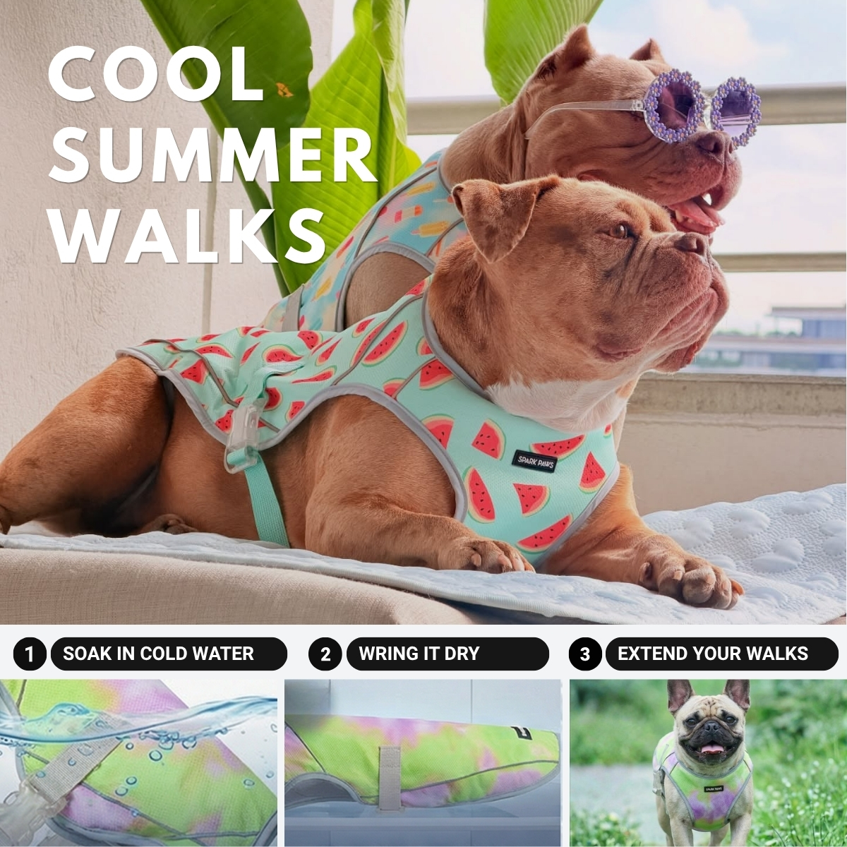 Spark Paws Facebook ad
