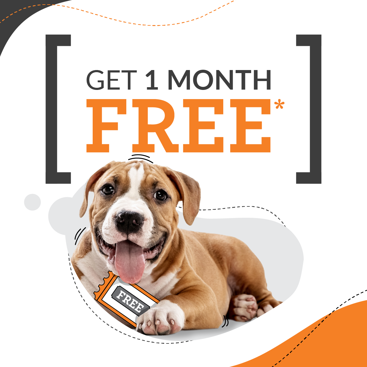 PD Insurance NZ Facebook ad