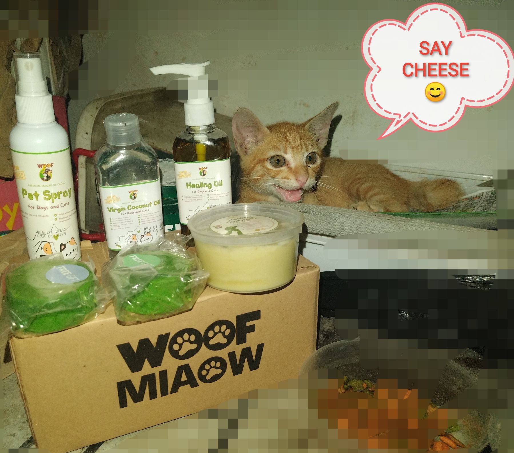 WOOF Premium Organic Dog Shampoo and Soap Facebook ad