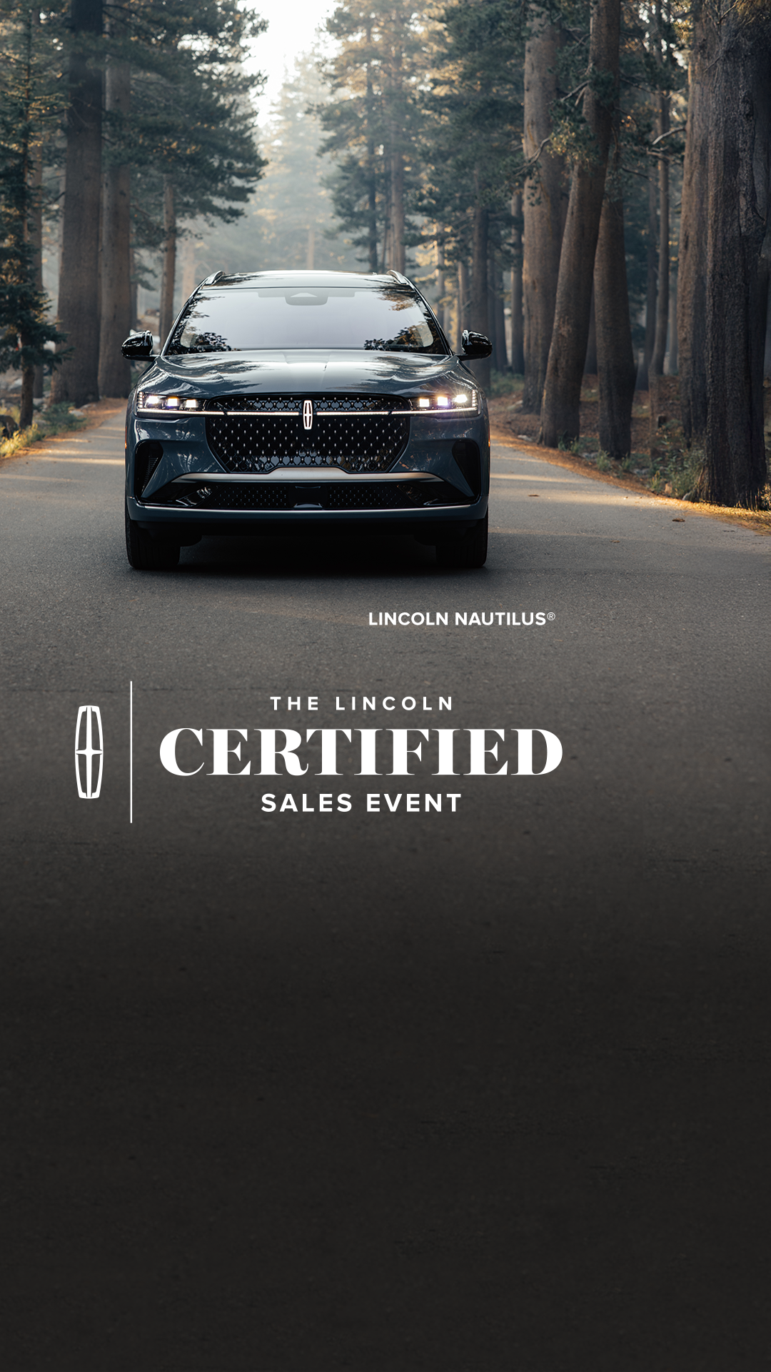 Lincoln Facebook ad