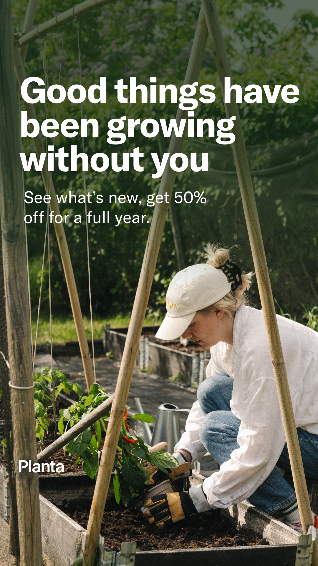 Planta Facebook ad