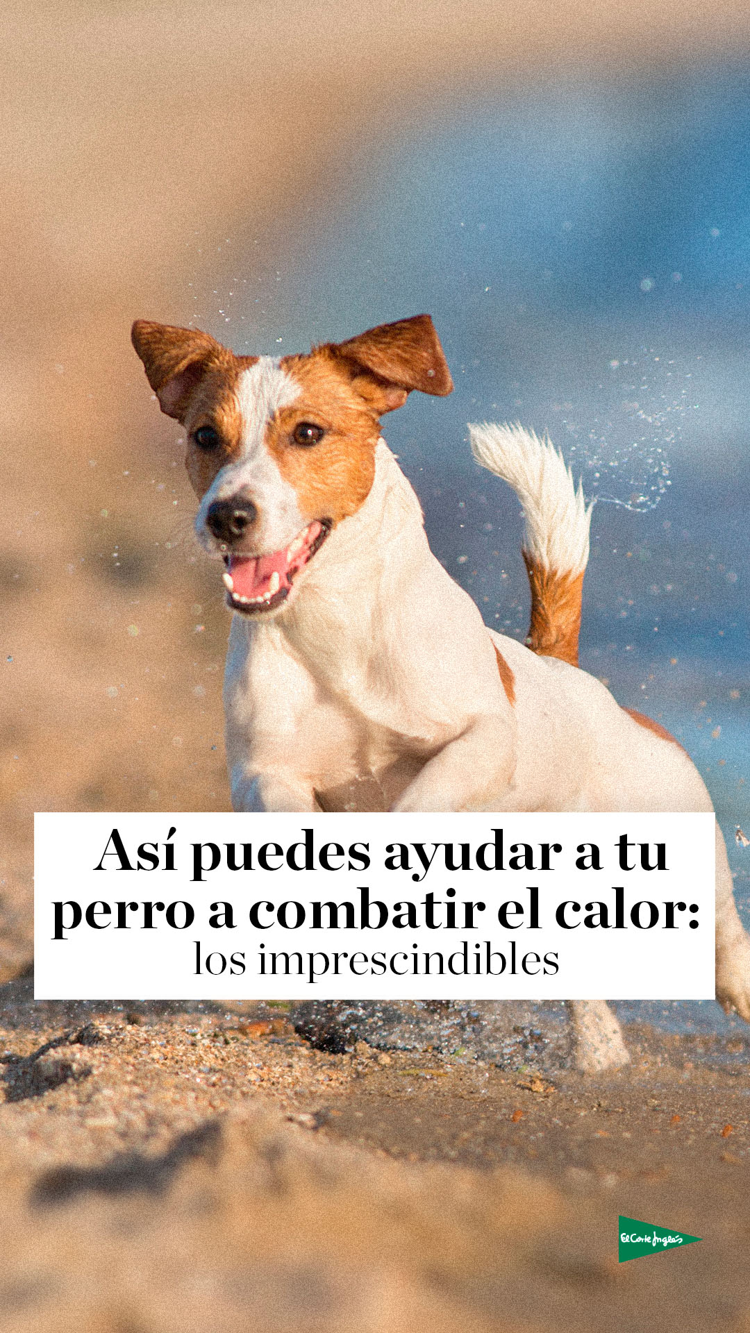 El Corte Inglés Facebook ad