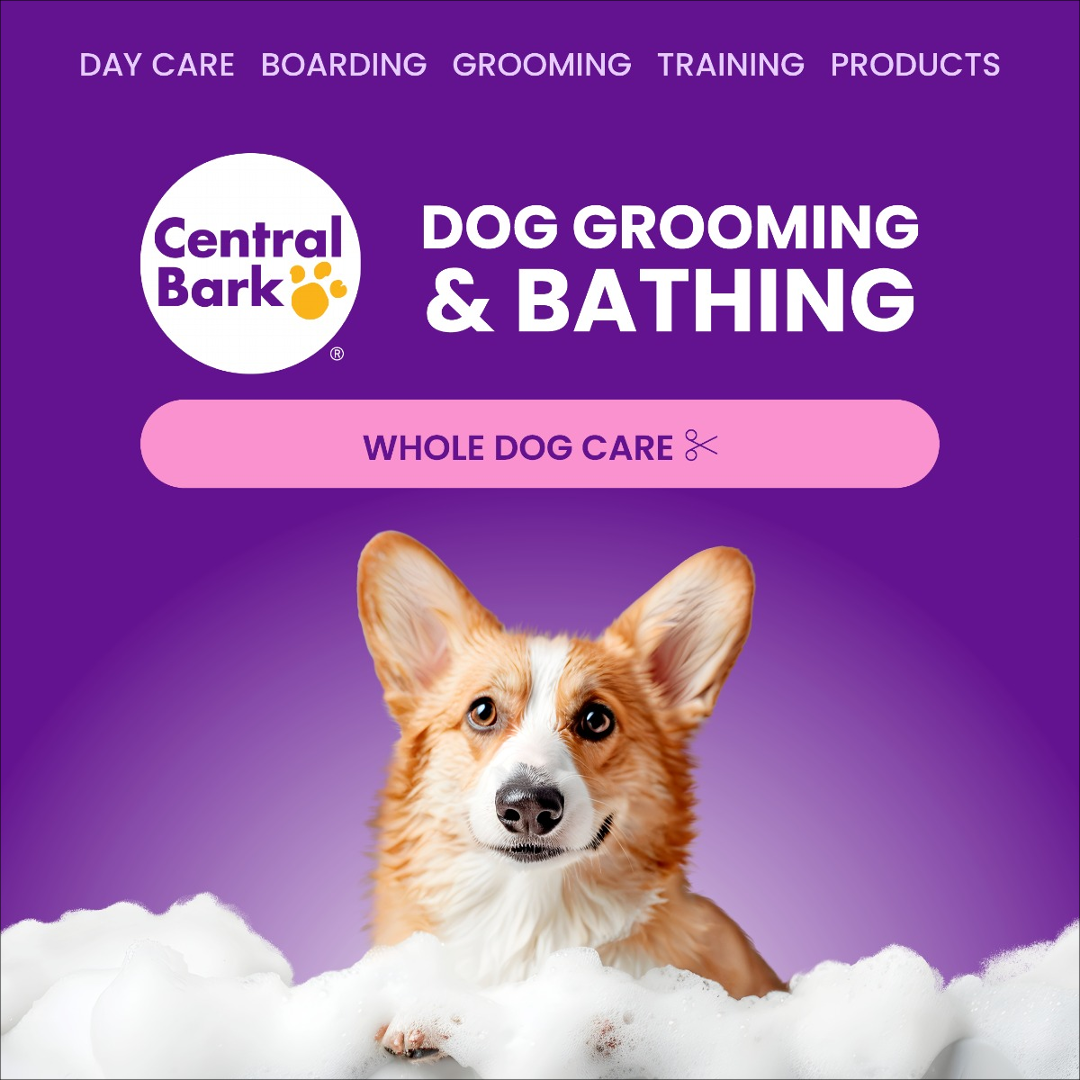 Central Bark Fort Walton Beach Facebook ad: Treat your dog to a calm and relaxing…