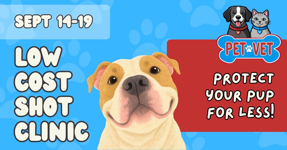 Pet Vet Facebook ad
