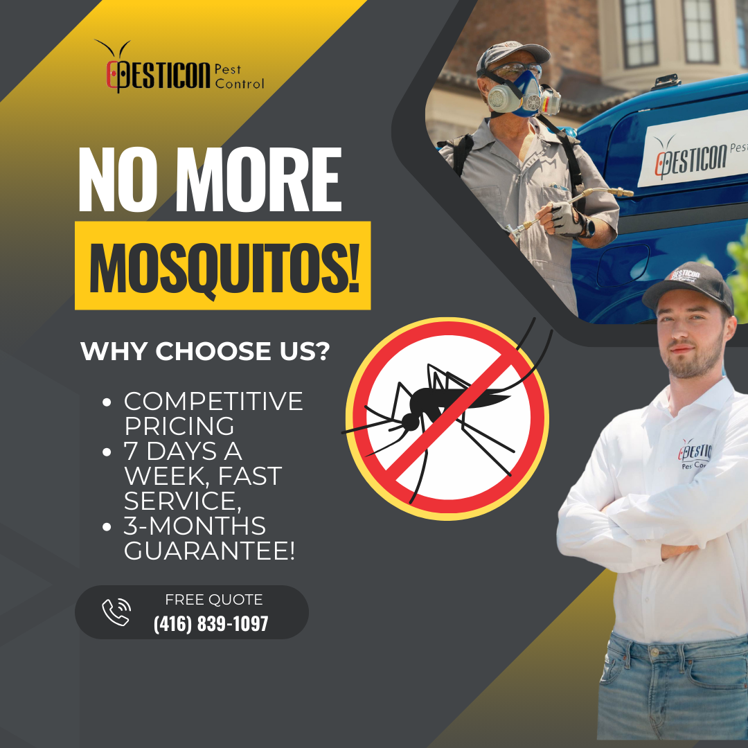 Pesticon Pest Control Facebook ad: Enjoy your backyard more today!