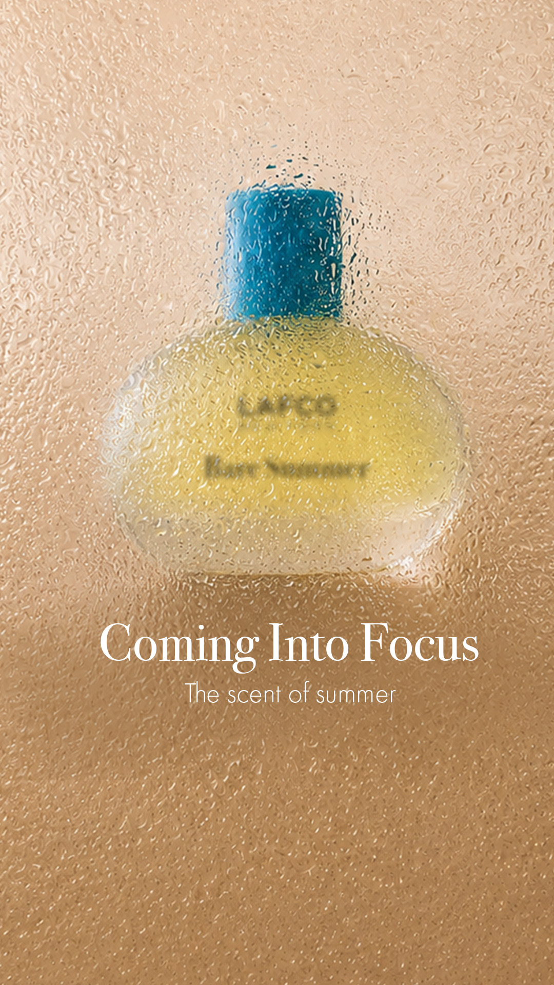 LAFCO New York Facebook ad