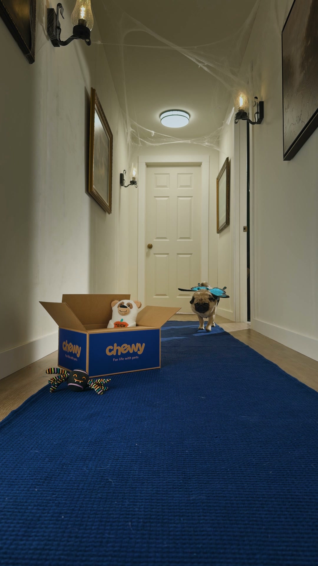 Chewy Facebook ad: Frisco dog costumes
