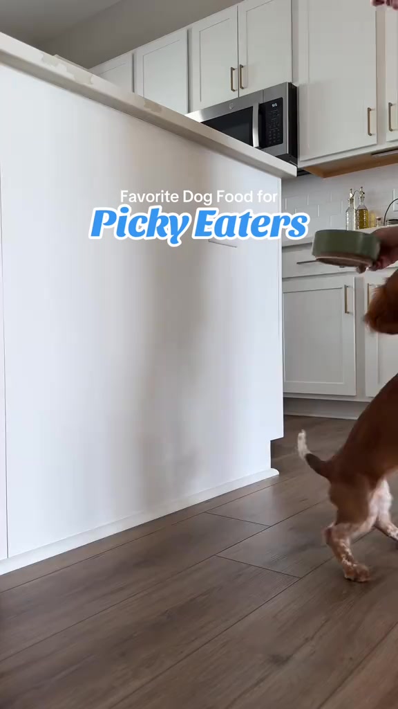 Spot and Tango Facebook ad: UnKibble, Try for 50% Off Today
