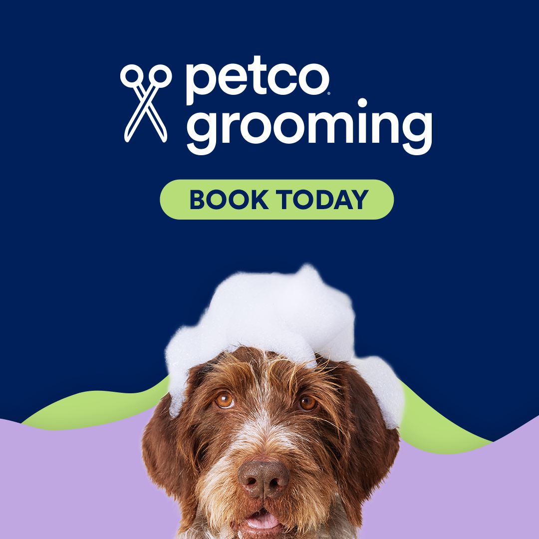 Petco Facebook ad