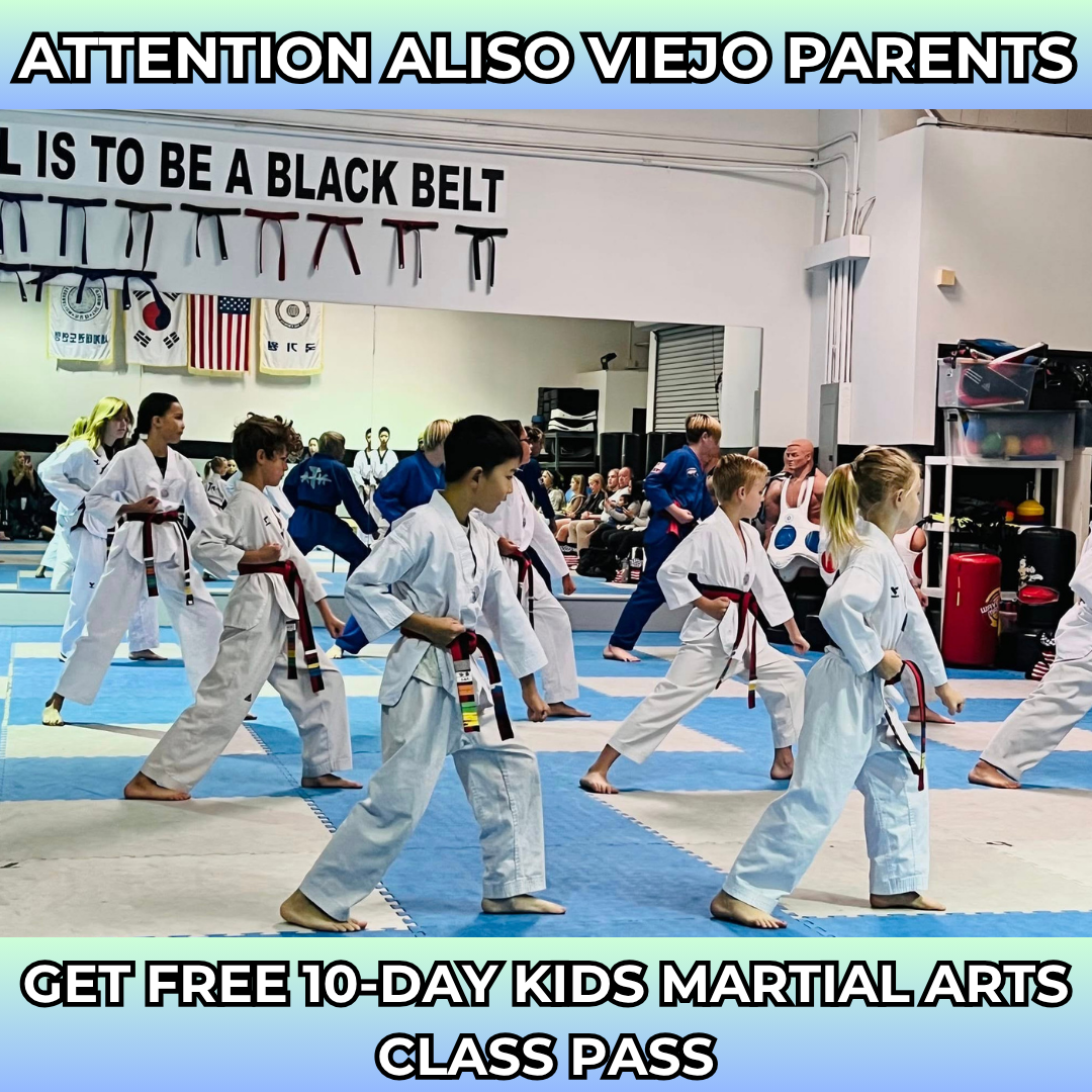 National Taekwondo Academy Aliso Viejo Facebook ad