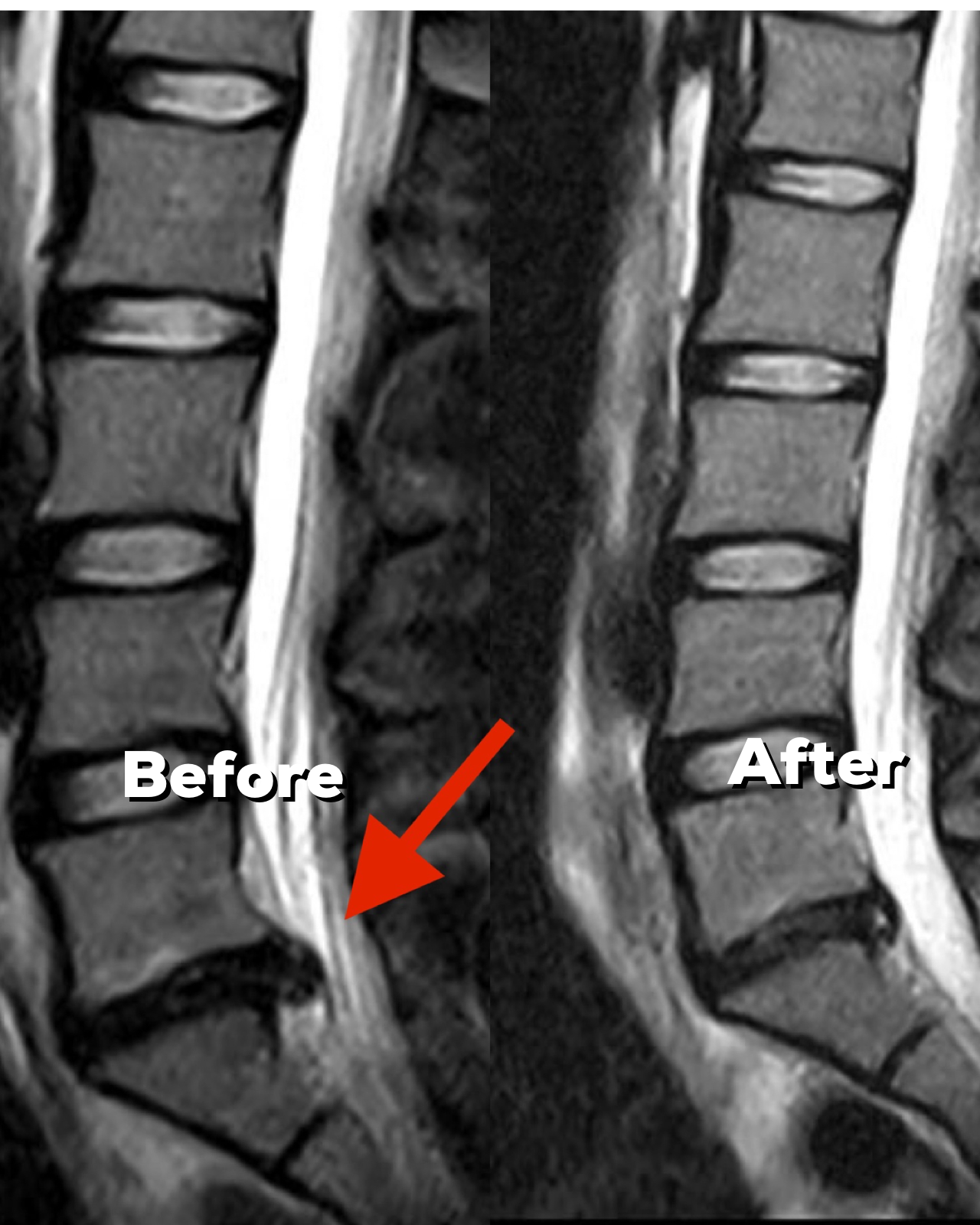 Carolina Chiropractic Facebook ad