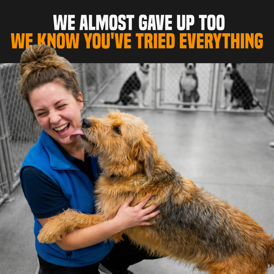 PuppyPad Facebook ad