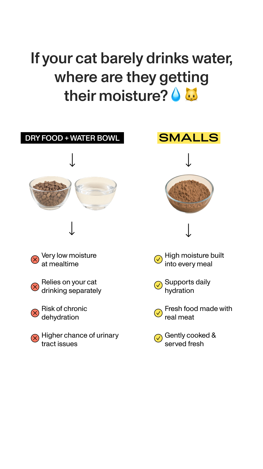 Smalls Facebook ad: Human-Grade Fresh Cat Food