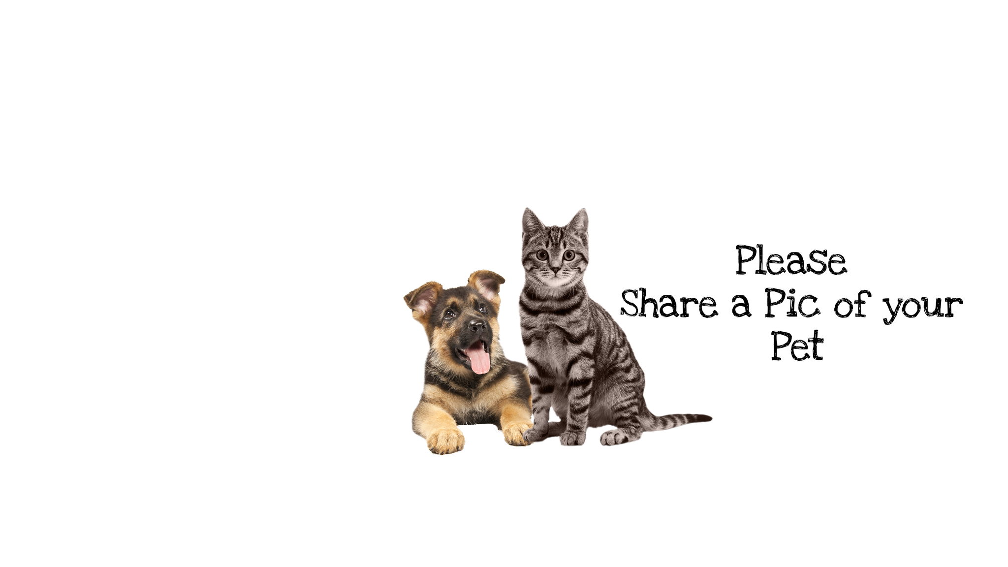 Shelter Pets Facebook ad: Celebrating rescue animals and giving back to the…