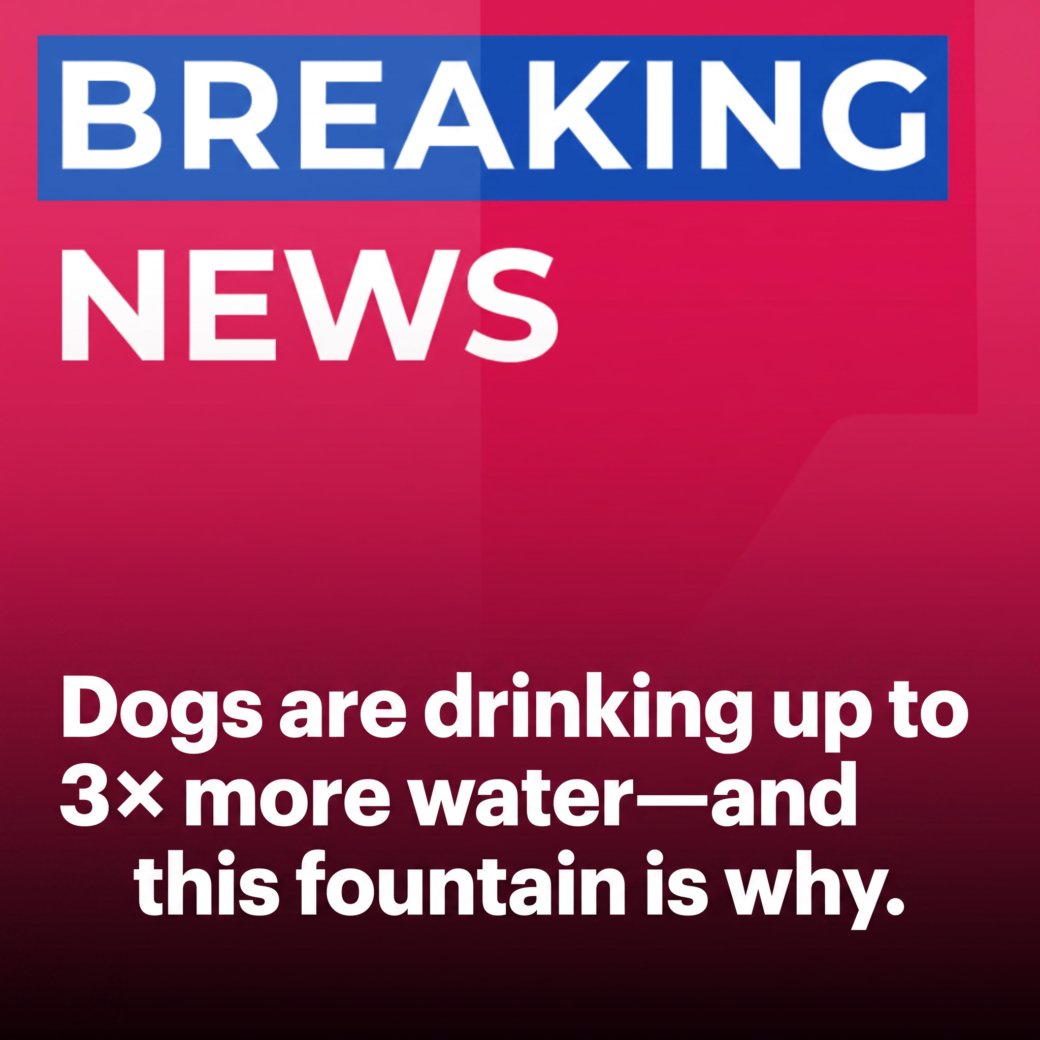 Dog Health Australia Facebook ad