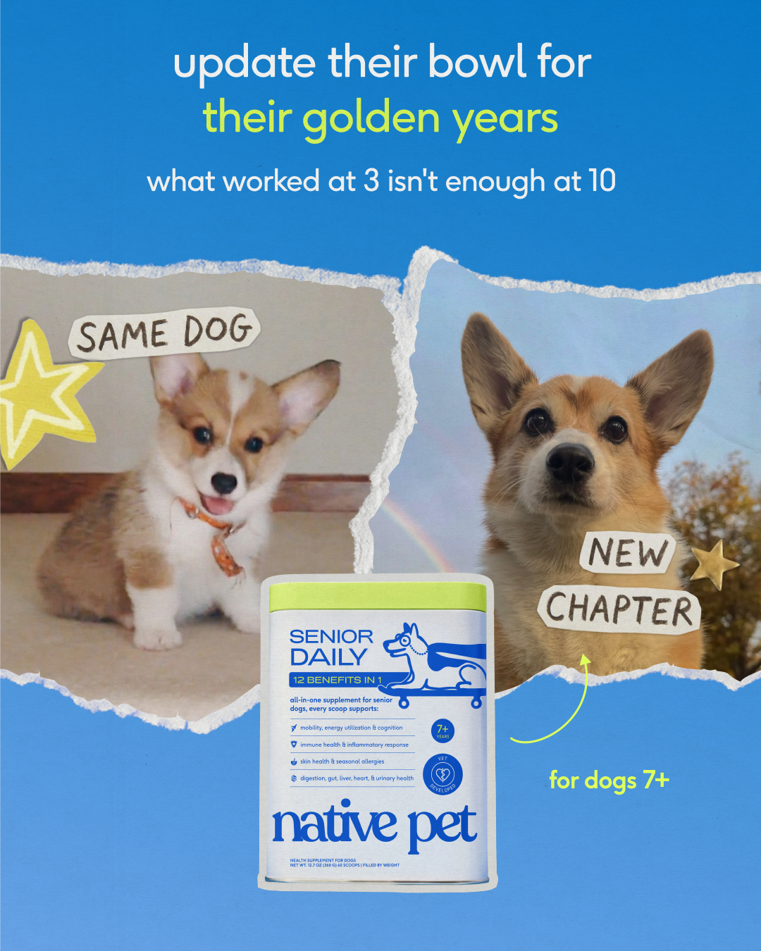 Native Pet Facebook ad
