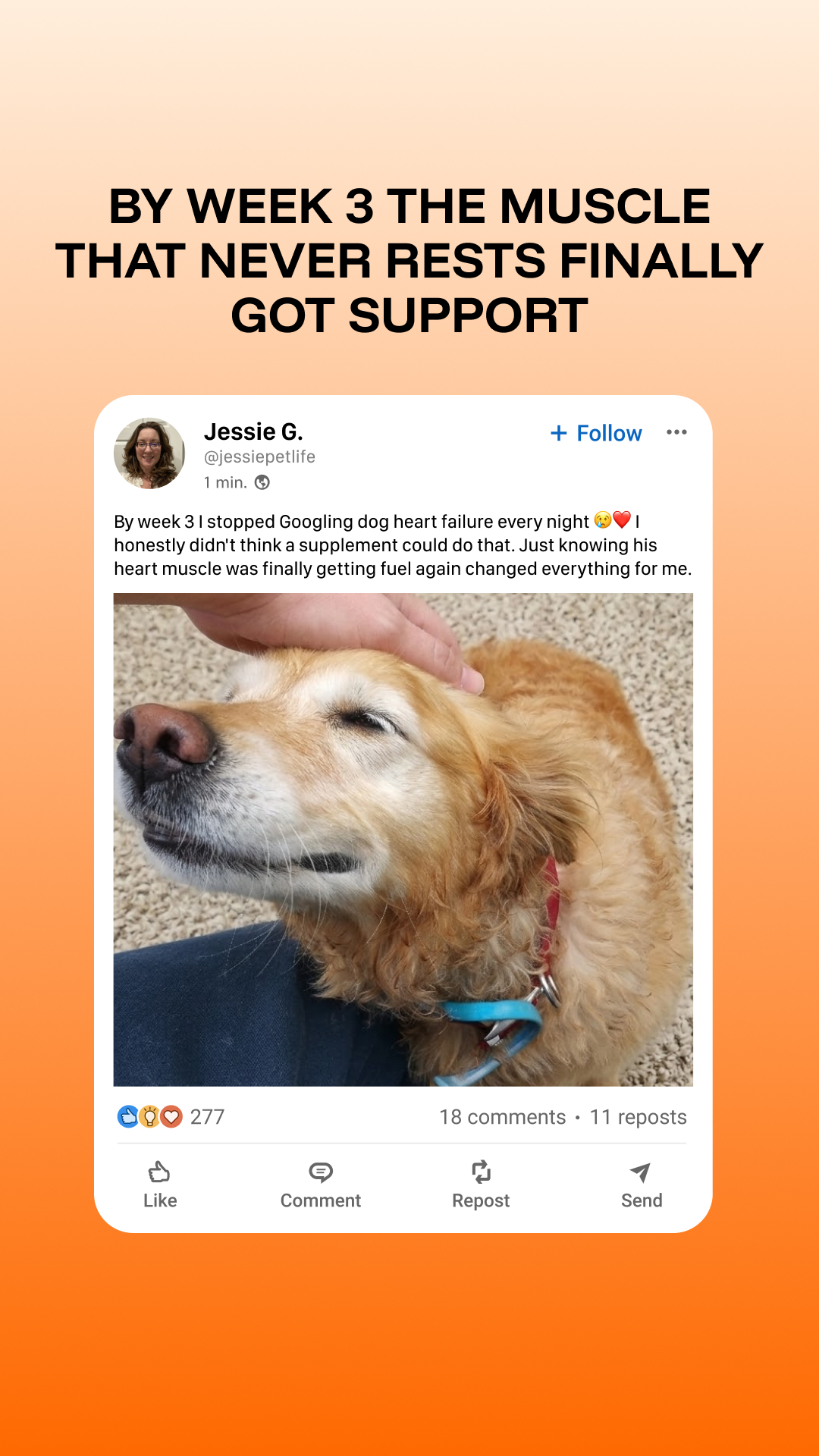 Vet-Approved Pet Products Facebook ad