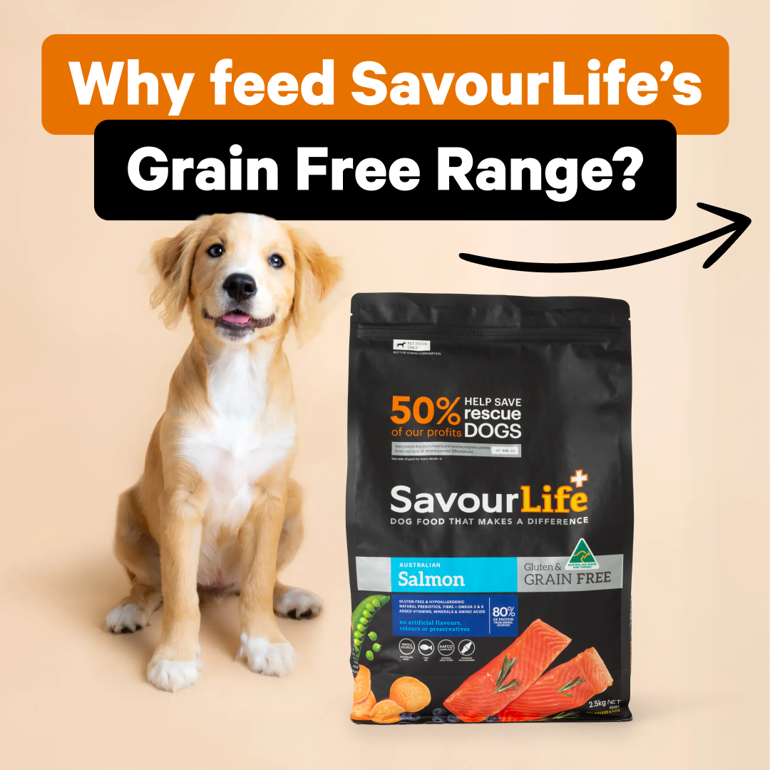 SavourLife Facebook ad: 80% Protein from animal sources.