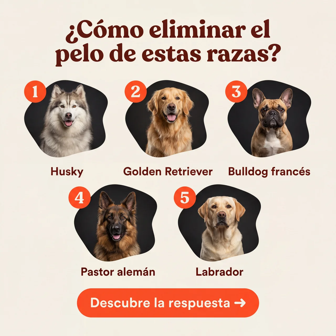Pawlet Facebook ad