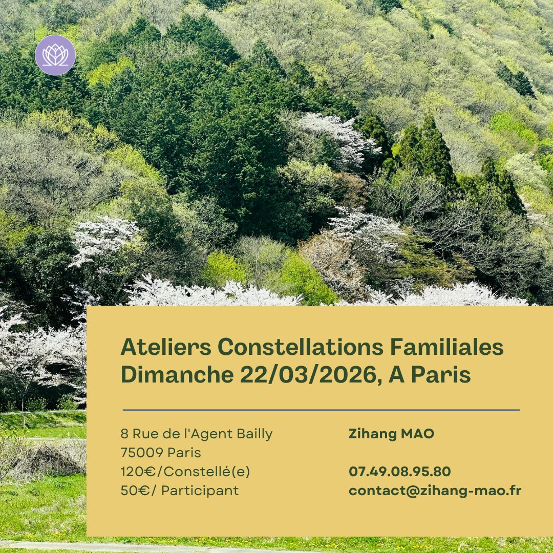 Zihang MAO/Animatrice en Constellation Familiale et en Somatic Experiencing Facebook ad: Thérapeute holistique à Paris 3 - Zihang MAO