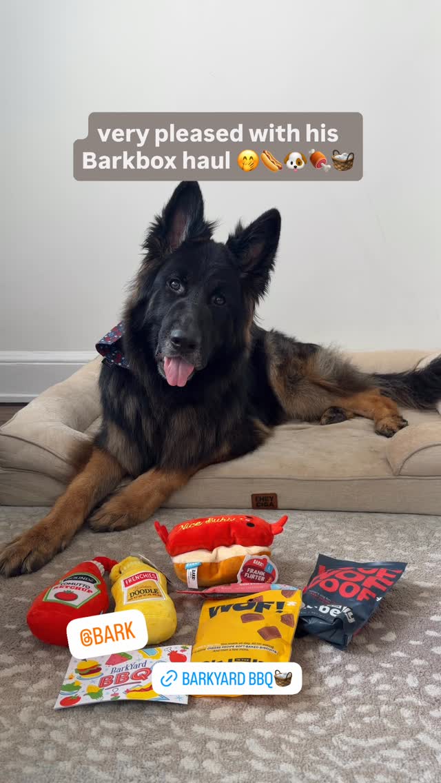 Hiro the GSD Facebook ad